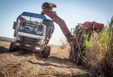 Trestia de zahăr recoltată în Brazilia cu ajutorul camioanelor automate 8 Trestia de zahăr recoltată în Brazilia cu ajutorul camioanelor automate